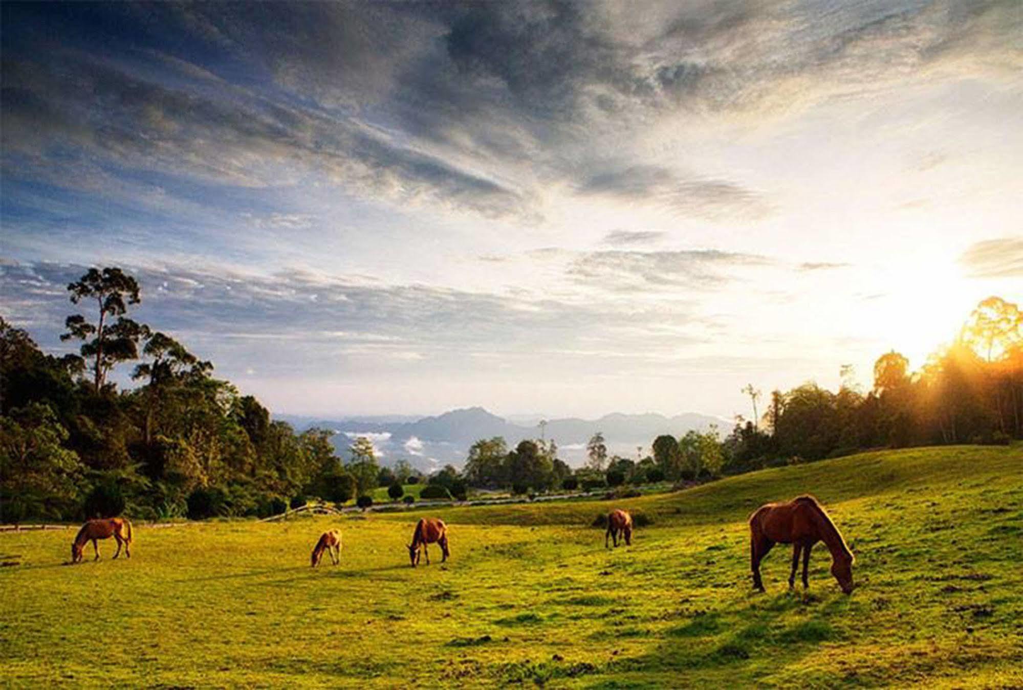 Borneo Highlands Resort Padawan Exterior foto
